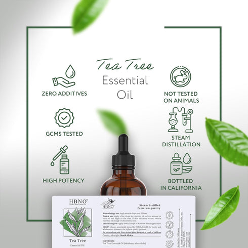 HBNO® California Bottled Tea Tree Oil for Skin 4 fl oz (120ml) - Natural Tea Tree Oil for Hair - Steam Distilled Tea Tree Essential Oil for Aromat...
