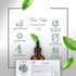 HBNO® California Bottled Tea Tree Oil for Skin 4 fl oz (120ml) - Natural Tea Tree Oil for Hair - Steam Distilled Tea Tree Essential Oil for Aromat...