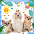 100 Pack Summer Spring Dog Hair Bows with Rubber Bands Cute Puppy Bows for Dogs Spring Ear Bows Rhinestone Dog Hair Accessories Dog Bows Grooming ...