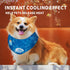 ALL FOR PAWS Cooling Neck Wraps for Dogs,Ice Dog Bandanas,Dog Cooling Dog Bandana,Chill Out Blue Dog Collar Dog Collar Cat Collar,Neck Cooler,Neck...