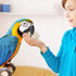 12 Pcs Bird Shreddable Toy 6 Natural Parrot Sola Balls Rattan Foraging Toys Chewing Accessories for Budgie Parakeet Cockatiel Orbs Crafts DIY Vase...