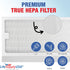 LifeSupplyUSA True HEPA Filter Replacement Compatible with Hunter 30966, 30747, 30748, 30750, 30856, 37748, 37750 Air Purifier...