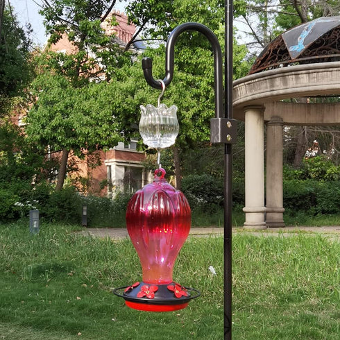 Glass Ant Moat for Hummingbird Feeder - 3 OZ Clear Tulip Insect Guard with Large Capacity...