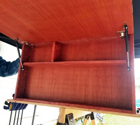 Apexstone 100N/22.5lb Gas Struts 10 Inch Gas Struts Lift Supports Gas Spring Lid Support Gas Props/Shocks, Set of 4...