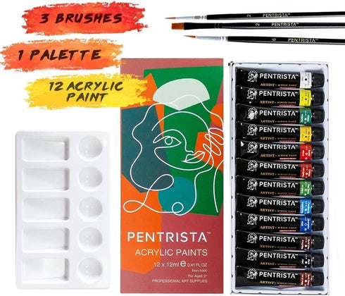 Acrylic Paint Set,Canvas Painting Kit with 12 Colors Artist Quality, 3 Art Brushes & 1 Palette for Adults Beginners,Craft Paint Tubes for Canvas W...