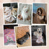 Pet Soft Blankets for Dogs - Fluffy Cats Dogs Blankets for Medium to Large Dogs, Cute Paw Print Pet Throw Puppy Blankets Fleece...