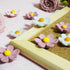 18 Pcs-flower refrigerator magnets, pink refrigerator magnets, cute whiteboard magnets, Girls Locker Magnets (18 Pcs - Pink-Flowers)...