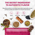 moji masala Indian Spice Kits – Rogan Josh Masala Spice Blend – Smoky Indian Spice Mix for a Kashmir Meat Dish – Authentic Indian Seasoning Sets –...