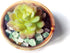 Aquarium Gravel,Decorative Rocks for Planters,0.44lb Fluorite Aquarium Gravel Rocks,Crystal Chips Stone Crushed Quartz for Crafts, Vases Filler, S...