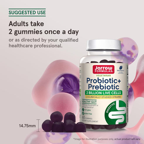 Jarrow Formulas Probiotic+ Prebiotic 2 Billion Live Cells Supplement, Digestive Health and Immune Support, 60 Blackberry Flavor Probiotic+ Prebiot...