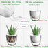 Self Watering Pots for Indoor Plants, Plant Pots Indoor 4/6 Inch, Small Plant Pots, Flowers Pots for Indoor Plants, Self Watering Planter for All ...