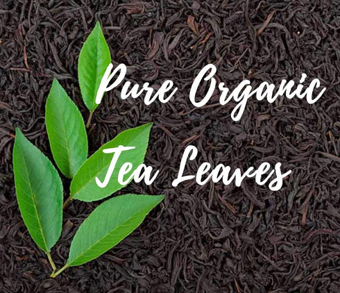 Shangri-La Tea Company Iced Tea Bags, Organic Spring Melon Green Tea, Unsweetened and All Natural, Brews 2 Quarts Per Tea Bag, (6 Count), (5060)...