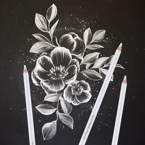 Dyvicl White Charcoal Pencils Drawing Set, 6 Pcs Sketch Highlight Pencil Hard Charcoal White Pencils for Drawing, Sketching, Shading, Blending...
