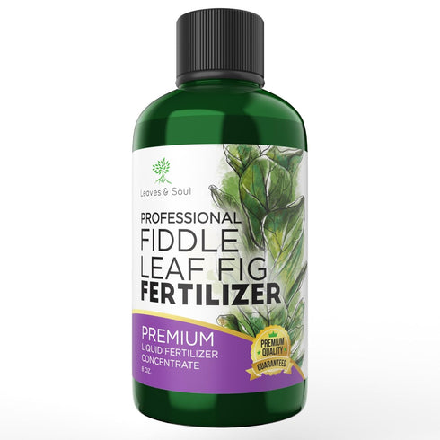 Professional Liquid Fiddle Leaf Fig Plant Fertilizer | 3-1-2 Concentrate for House Plants | Multi-Purpose Blend & Gardening Supplies | 8 oz Bottle...
