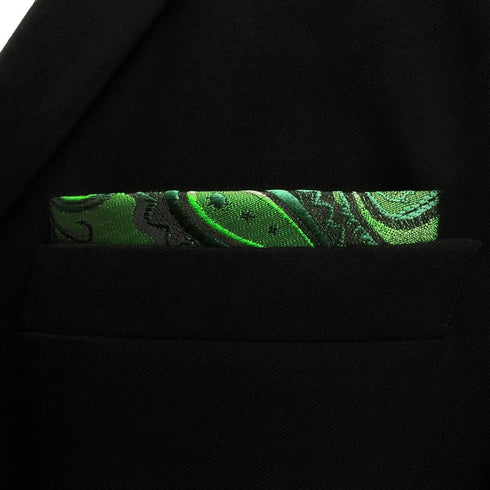 S&W SHLAX&WING Neck Tie Sets for Men Matching Necktie Dark Green Paisley Matching Pocket Square...