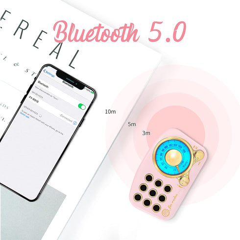 Retro Bluetooth Speaker FM Vintage Radio with Loud Volume, Strong Bass Enhancement, Bluetooth 5.0 Wireless Connection, Loud Volume,TF Card & MP3 P...