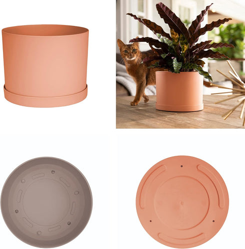 Bloem Mathers Planter w/Saucer Tray 6" Muted Terra Cotta...