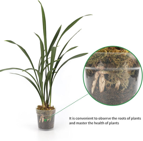 KINGLAKE GARDEN Clear Orchid Pots,4.5 Inch Clear Plastic Orchid Pots with Holes,16 Pack Clear Orchid planter Orchid Pots Plant Pots for Indoor Out...