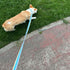 10FT / 15FT / 20FT Anti-Choke Slip Lead Dog Leash, 1” Wide Soft Thick Long Training Leash for Strong Small Medium Large Dogs (blue-20ft)...