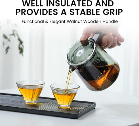 Glass Teapot with Removable Glass Infuser, Teapot Kettle for Blooming and Loose Leaf, Borosilicate Glass Tea Maker 17oz/500ml...
