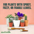 Southside Plant Cactus & Succulent Plants Cleaning Brushes - Wooden Handles w/Soft Goat Hair Bristles - Garden Cleaning Tools, Gentle on Plants, 7...