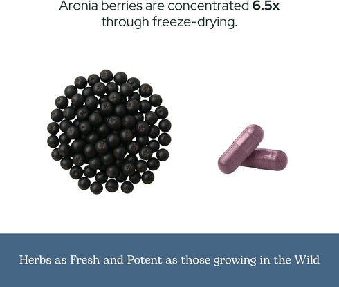 Eclectic Institute Raw Freeze-Dried Organic Aronia Berry Capsules | Supports Heart, Immune System, Digestive, and Urinary Tract Health | 90 CT (45...