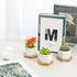 T4U Small White Succulent Planter Pots with Bamboo Tray Hexagon Set of 2, Geometric Ceramic Cactus Plant Holder, Succulent Plant Gifts for Gardene...