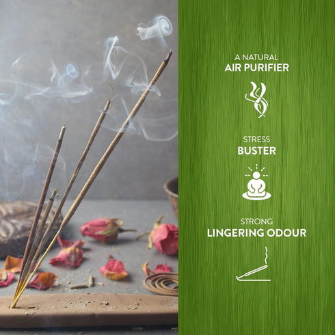 HEM Precious Patchouli Incense Cones | Long Lasting Aroma for Positivity & Pure Air | Aromatherapy Incense for Stress Relief, Air Purifier & Clean...