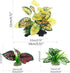 Reptile Artificial Plants, Terrarium Plants Decorations Supplies, Aquarium Fish Tank Plant, Amphibian Habitat Hideout Tank Accessories(M Set-4pcs/...