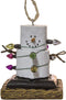 Midwest-CBK S'Mores Wrapped Up in Lights Resin, Christmas/Everyday Ornament...