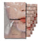 Oil-Lock Steamsheet Mask 5 Pack | Premium Spa-like Nourishing Facial Treatment for All Skin Types Deeply Hydrates Moisturizes Illuminates Enhances...