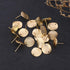 MILISTEN 20pcs Stainless Steel Earrings Posts Round Blank Peg Earrings Posts Flat Pad Ear Stud Components Earring Making Findings (Golden)...