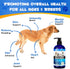 Salmon Oil for Dogs & Cats,Fish Oil for Dogs,Omega 3 Fish Oil for Dog's Skin and Coat,Supports Healthy Dog Skin and Coat Supplement, Contains Omeg...