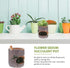 Cute Green Frog Flower Sedum Succulent Pot Planter Bonsai Trough Box Plant Bed Office Desk Home Garden Pot Decor...