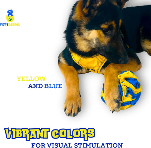 PET’SBARREL Snuffle Interactive Foraging Dog Puzzle Ball - Dog Enrichment Toys, Vibrant Yellow and Blue - Optimal Visual Stimulation. Dogs toys fo...