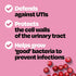 Cystex Urinary Tract Infection Support, Cranberry Prebiotic Supplement for UTI Protection & Urinary Health Maintenance, D-Mannose & Vitamin C, 7.6...