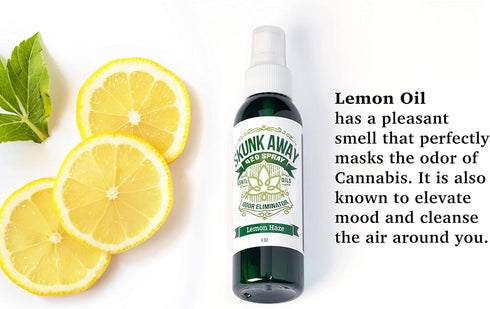 Eliminate Smoke Odor In House. Car Smoke Odor Removal. Cigarette Cigarette Smoke Odor Removal Air Freshener For Home Smoking. Smoke Odor Deodorize...