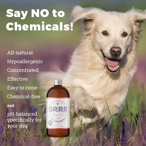 Heel 's New Name - GRRR. Same great product from The Makers of Moosh – Natural Dog Shampoo with Lavender Essential Oils for Itchy Skin,Hot Spots, ...