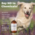 Heel 's New Name - GRRR. Same great product from The Makers of Moosh – Natural Dog Shampoo with Lavender Essential Oils for Itchy Skin,Hot Spots, ...