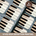 3dRose cst_45224_2 Piano Keys-Instruments-Photography-Soft Coasters, Set of 8...