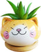 Cute 3.5 Inches Indoor Cartoon Animal Cat Shaped Ceramic Succulent Cactus Flower Plant Pots with Bamboo Tray (Plant Not Included) (Yellow)...