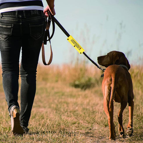 Funny Dog Leash Sleeve Learning Please Ignore Us Dog Leash Wrap Sleeve Alert Tag Pet Birthday Gift (Learning Ignore-YE Sleeve)...
