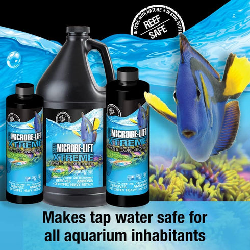 MICROBE-LIFT Xtreme for Salt and Fresh Water Home Aquariums, 8-Ounce,XTA08...