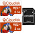Pack of 2 Parrot-Prime Micro SD Card 2GB Flash Memory Card C6 with SD Adapter (2GB)...