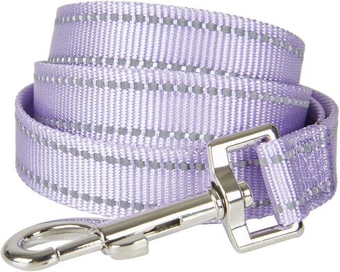 Reflective Dog Leash 4 Ft with Soft Padded and Buckle Handle, Nylon Heavy Duty Durable Dog Leashes for Medium Large Dogs,Lilac...