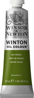 Winsor & Newton Winton Oil Color, 37ml (1.25-oz) Tube, Sap Green...