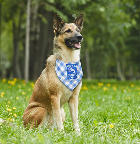 Dog Bandana, Soon to Big Brother Dog Bandana, Dog Scarf Classical Plaid Printing, Dog Scarf Accessories, Dog Bandana Pet Scarf, Pet Plaid Scarf Ge...