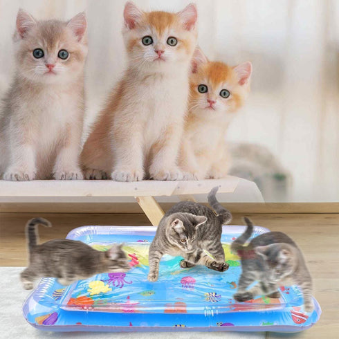 Water Sensory Playmat for Cats,2024 New Thickened Water Sensor Play Mat,Pet Play Water Sensor Mat for Kids, Cat Water Play Mat Feel Cool Comfort...