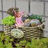 Fairy Garden Fairies Miniature Garden Fairies Figurines Outdoor Little Fairy Girls Small Fairies Ornaments Fairy Garden Accessories Terrarium Moss...