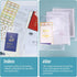 Plastic Envelopes Poly Envelopes, 10 Pack Plastic Folders for Documents Clear File Folder, Document Holder Plastic Envelopes with Snap Closure...